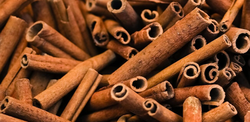 workshop nước hoa tự làm, mùi hương, nước hoa, NOTE - The Scent Lab, Sen, oakmoss, Cinnamon