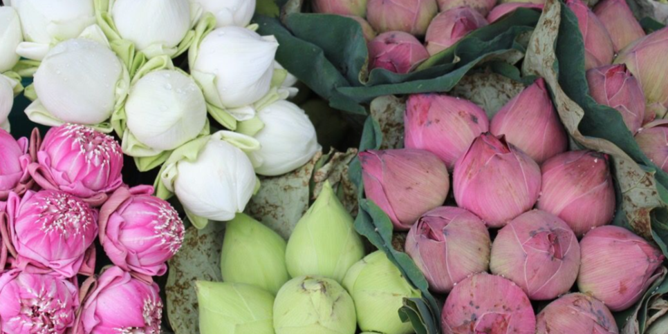 workshop nước hoa tự làm, mùi hương, nước hoa, NOTE - The Scent Lab, Sen, oakmoss, Cinnamon